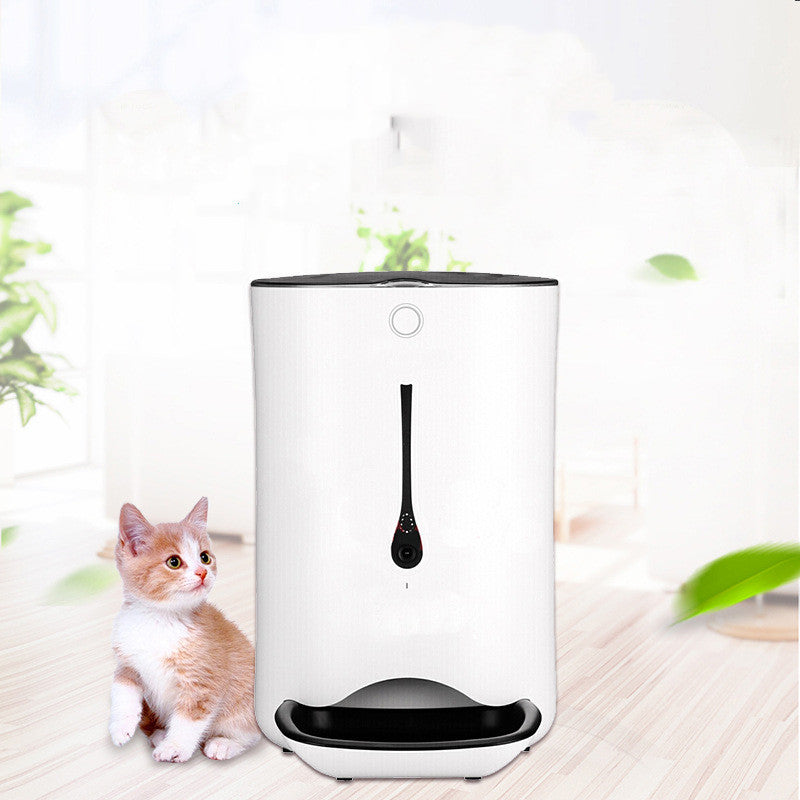 smart automatic pet feeder with camera next to a playful kitten in a bright home setting.
