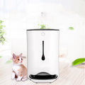 smart automatic pet feeder with camera next to a playful kitten in a bright home setting.