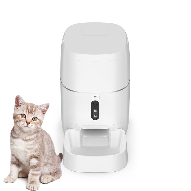 Smart automatic pet feeder with a cat beside it, showcasing innovative feeding technology.