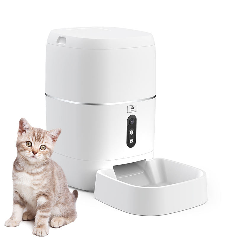 Smart automatic pet feeder with a cute cat next to it, featuring voice and video options for easy feeding.
