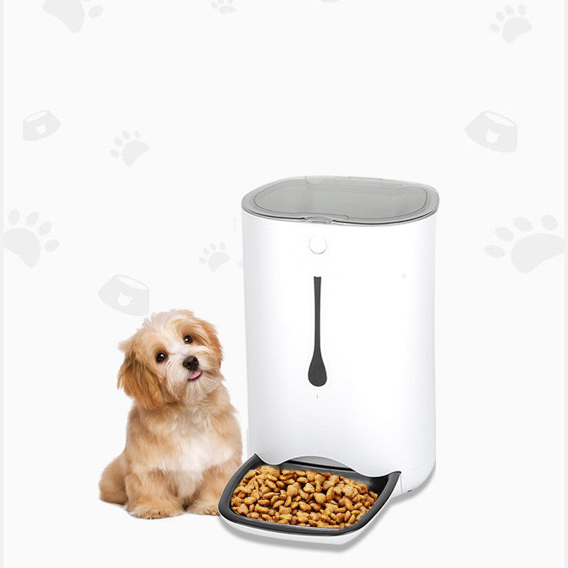 smart automatic pet feeder with camera next to a small dog and a bowl of pet food.